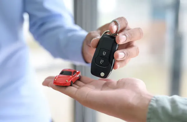Why People Love Cars: More Than Just Wheels